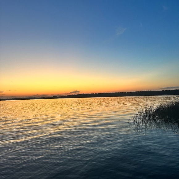 Meet your Posher, Rylee - Picture 1 of 1